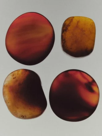 (100 ml) Dusty Mornings Eau De Parfum