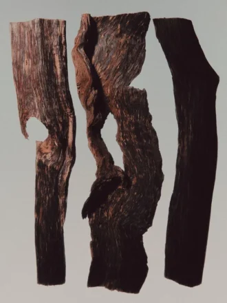 (100 ml) Evening Essence Eau De Parfum