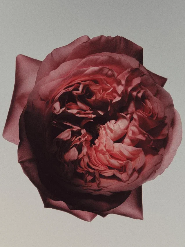 (100 ml) Satin Signature Eau De Parfum (100 ml) Satin Signature Eau De Parfum