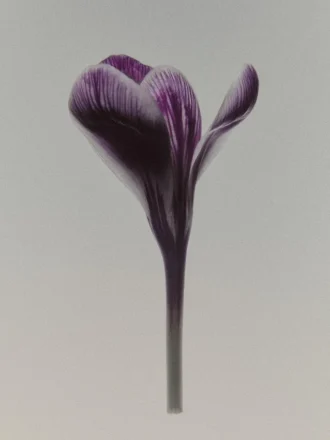 Eau de Parfum Black Evening (100 ml)